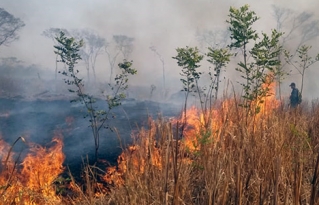 Mesa Técnica Permanente por los Bosques de Santa Cruz se pronuncia ante los desastres y la falta de efectividad en la lucha contra los incendios