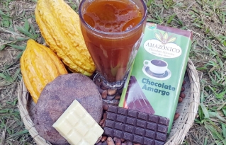 Dos muestras de Cacao Nativo Amazónico del Beni representan a Bolivia en la celebración del International Cocoa Award