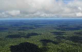 ¿Qué es el Sínodo Amazónico?