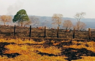 Tribunal Internacional de Derechos de la Naturaleza establece derogación de normas “incendiarias” respecto al caso de Ecocidio en la Chiquitanía
