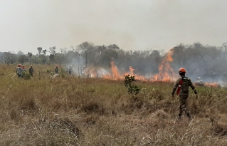 Municipio de San Ignacio de Velasco inmerso en una sequía intensa y amenaza constante de incendios forestales