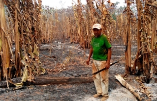La provincia Guarayos en Santa Cruz está rodeada de fuego