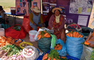 Productores comercializan hortalizas en la en la 1ra Feria de Productos Agroecológicos en el municipio de San Pedro de Totora.