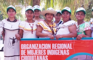 Mujeres Chiquitanas y Guarayas lideran propuestas en el Encuentro Nacional de Mujeres Indígenas de Bolivia rumbo al IX Fospa Bolivia 2024