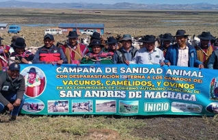 Gobierno Municipal de San Andrés de Machaca promulga ley de Sanidad Animal