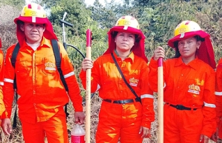 Brigadas de Pando fortalecen su capacidad de respuesta ante incendios forestales en la Amazonía