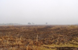Incendios dejan daños de consideración en la Provincia Mojos