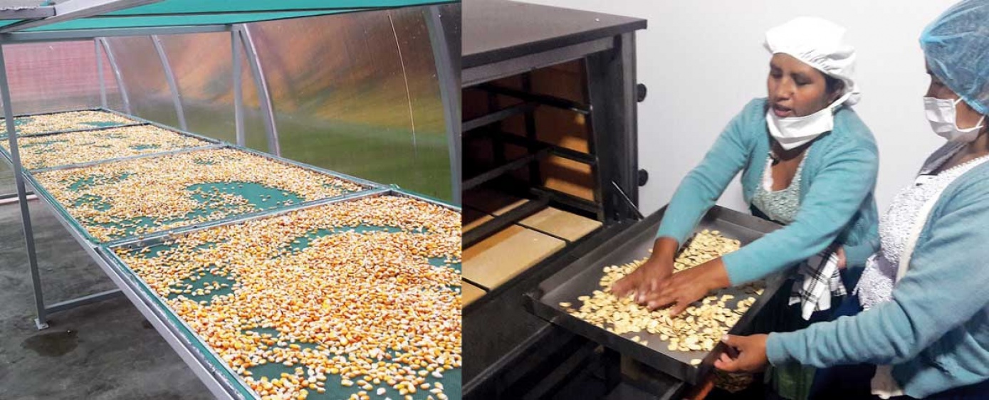 Mujeres transforman granos en desayuno escolar en Pojo