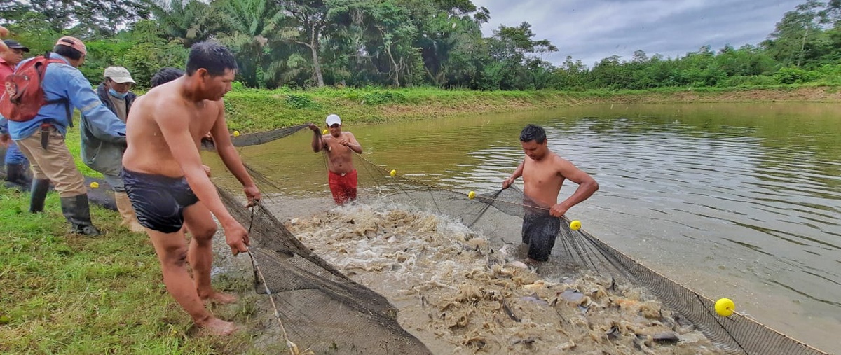 Gobernanza ambiental, una estrategia para superar las  desigualdades en tierras bajas.