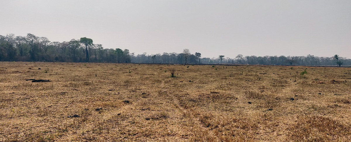 Santa Cruz, Bolivia: Crisis Ambiental Acelerada y Empeorada