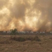 La sequía y los incendios forestales golpean a Beni