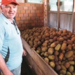 Chocolate, asaí, majo, copoazú, delicias que oculta la Amazonia