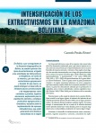 Intensificación de los extractivismos en la Amazonia boliviana