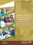 Dinámica de la pluriactividad campesina en la región de los valles interandinos de Potosí y Cochabamba.