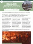 Bolivia en llamas: Cómo las políticas agropecuarias impulsan la pérdida de medios de vida de las mujeres rurales.
